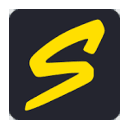 SKINFANS logo